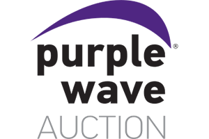 Purple Wave Auction