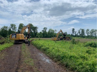 wetland restoration