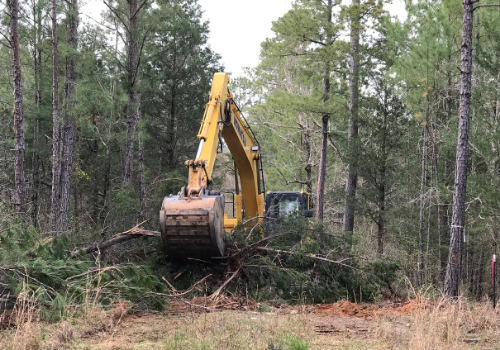 land clearing contractor south carolina